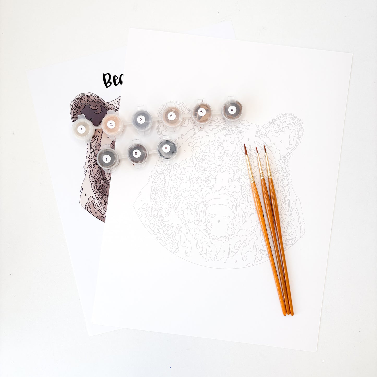 Bear Paint By Number Kit