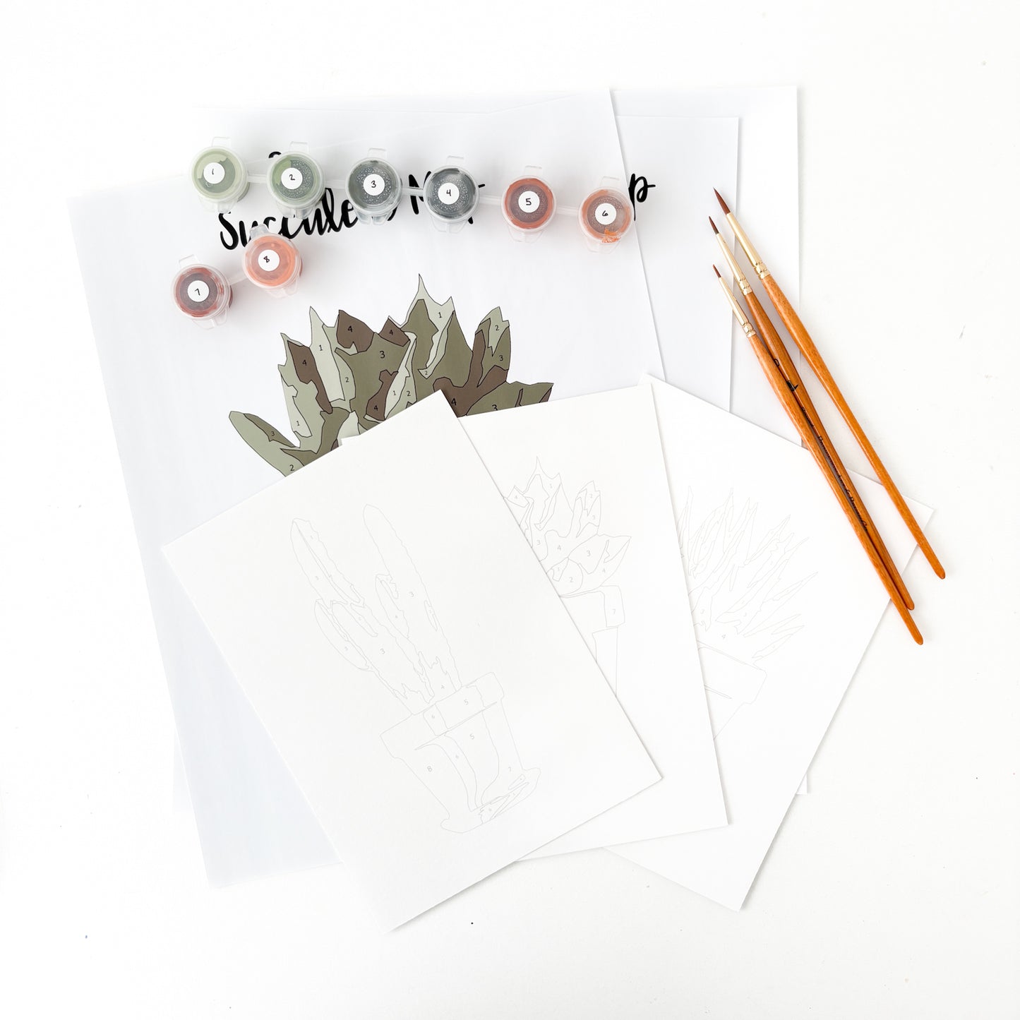 Succulent Trio Mini Paint By Number Kit