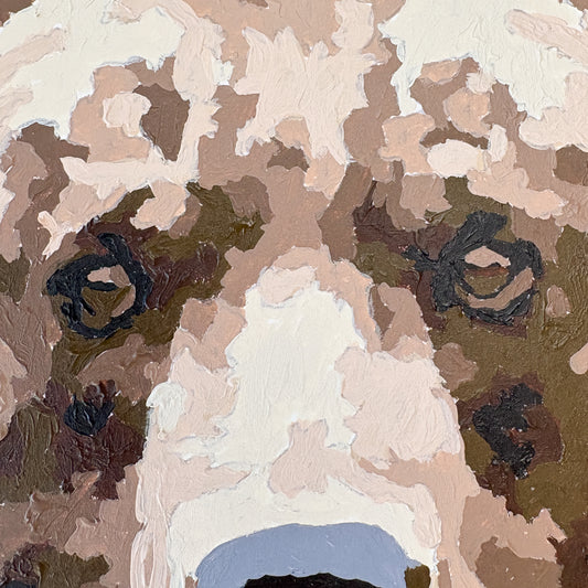 Bear Paint By Number Kit